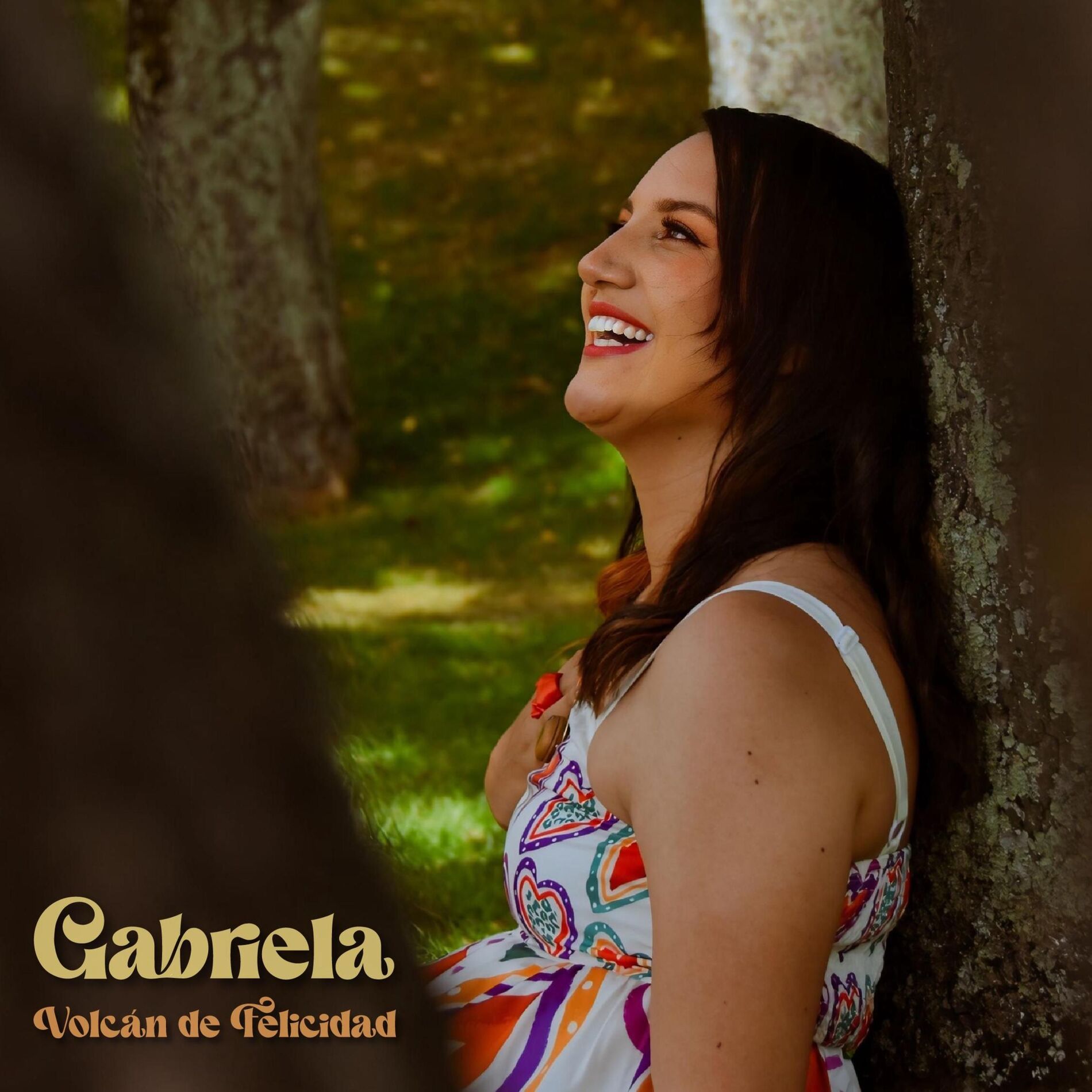 Album cover of Volcán de Felicidad
