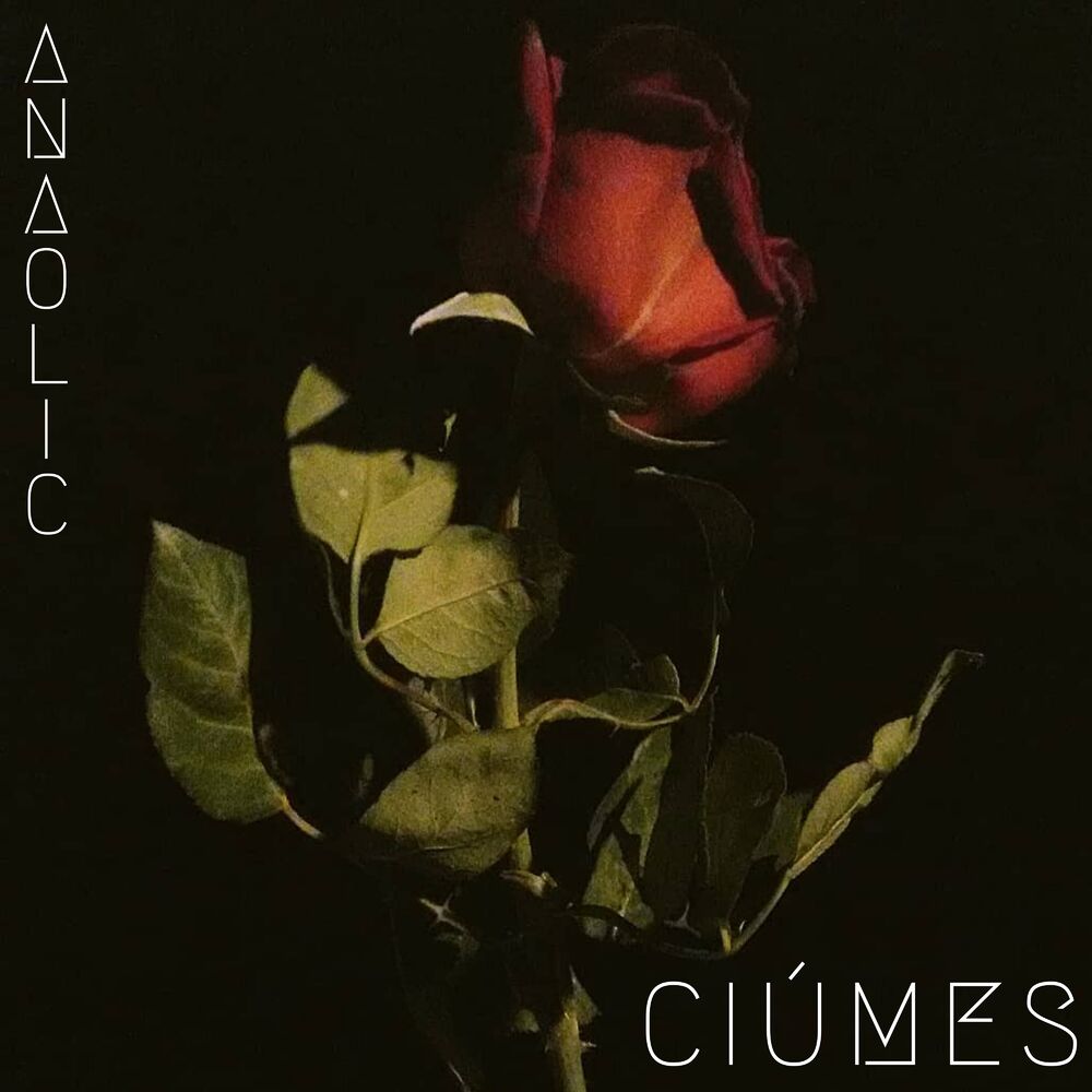 Picture of Ciúmes