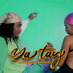 Cover of Ya tay