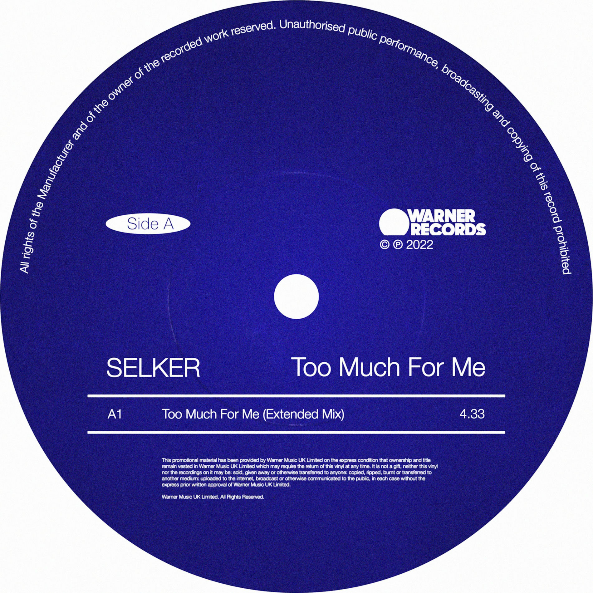 Album cover of Too Much For Me