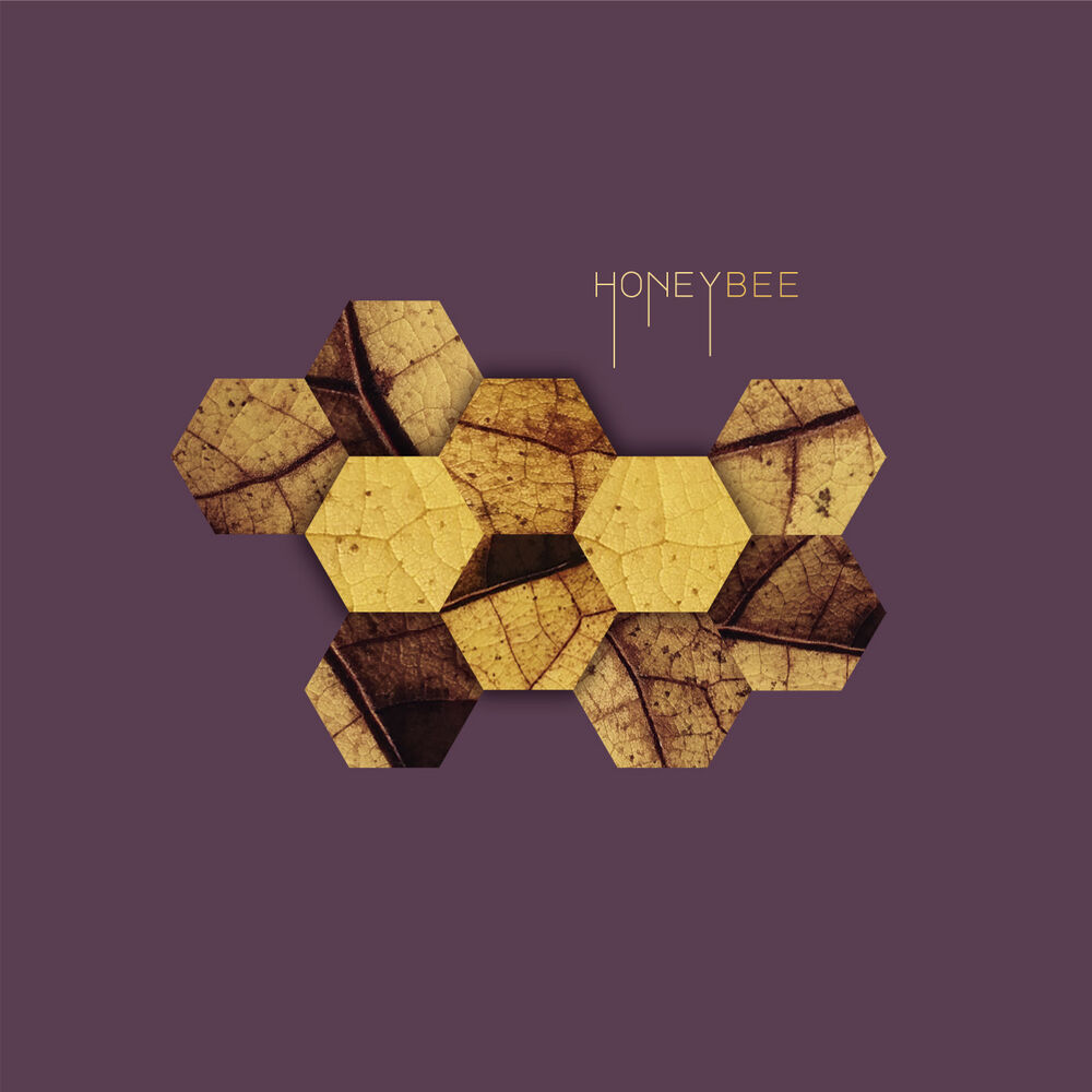 Picture of Honey Bee