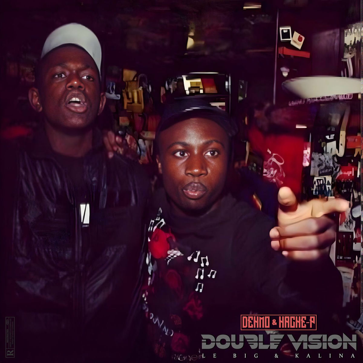 Album cover of DOUBLE VISION