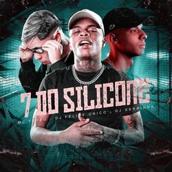 Cover of 7 Do Silicone