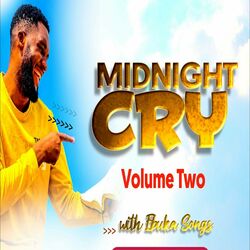 Cover of Midnight Cry, Vol. 2