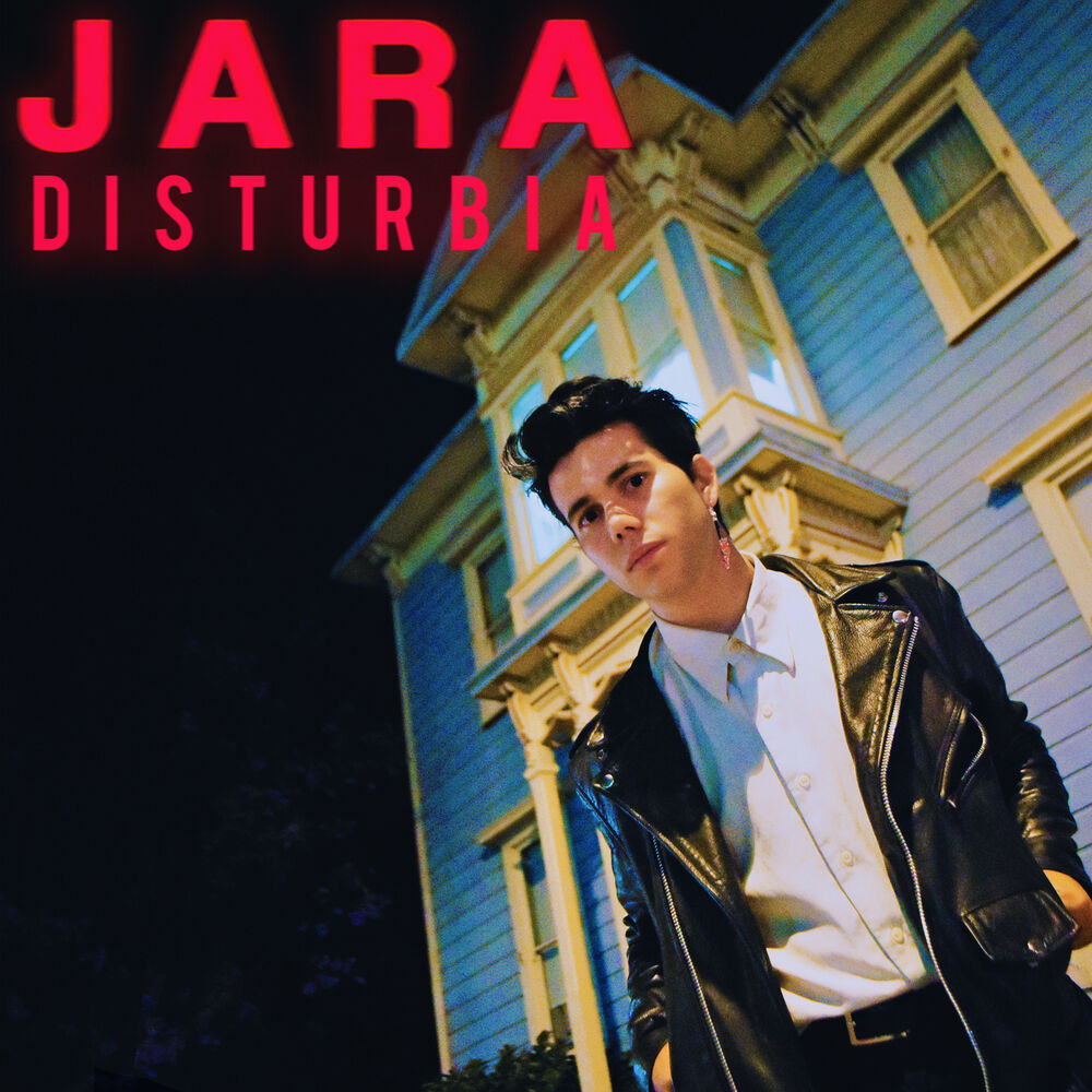Picture of Disturbia