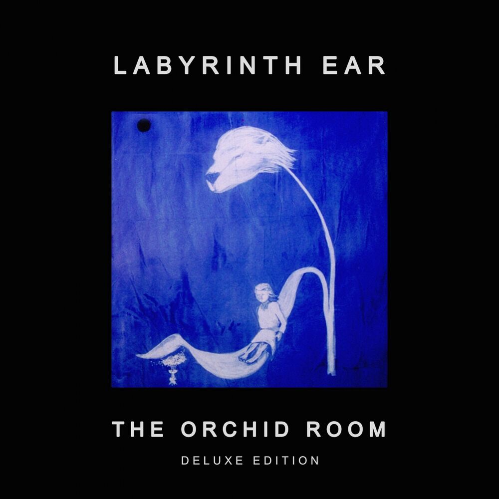 Picture of The Orchid Room (Deluxe Edition)