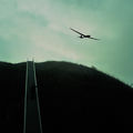 Ridge Soaring