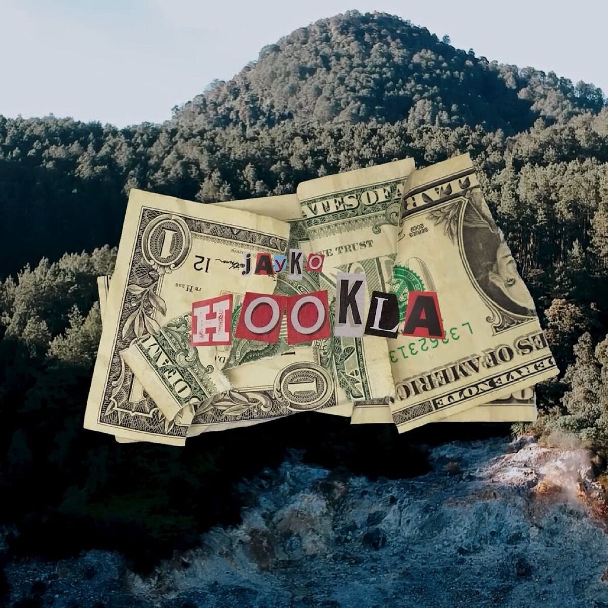 Album cover of Hookla