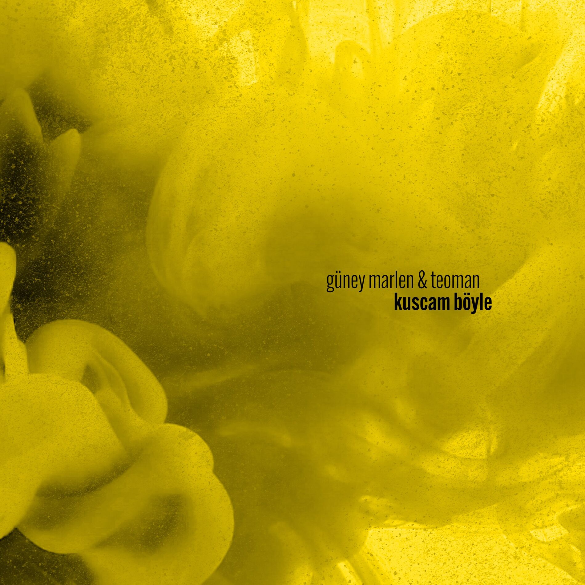 Album cover of Kuscam Böyle