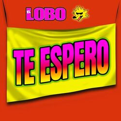 Cover of Te Espero