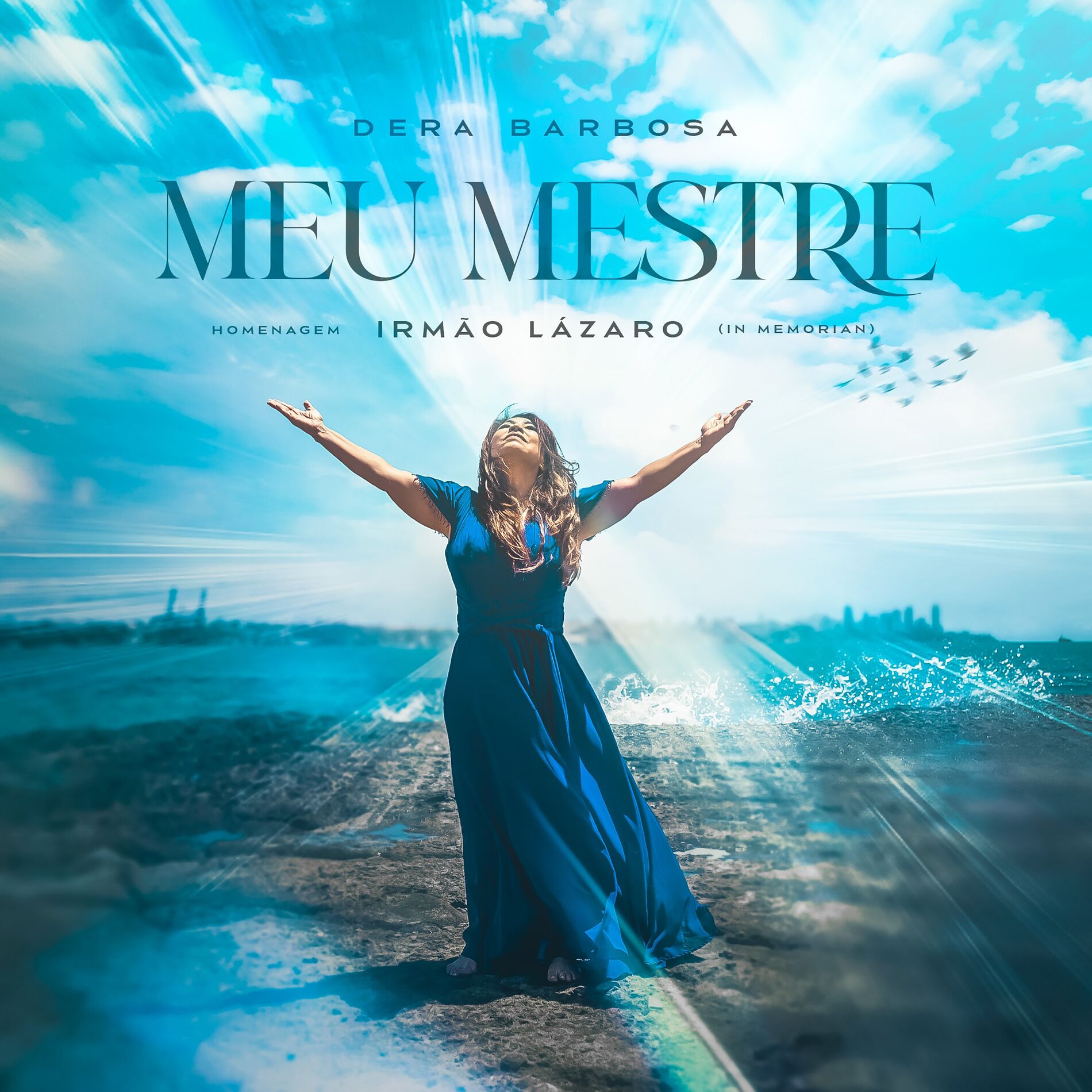 Album cover of Meu Mestre
