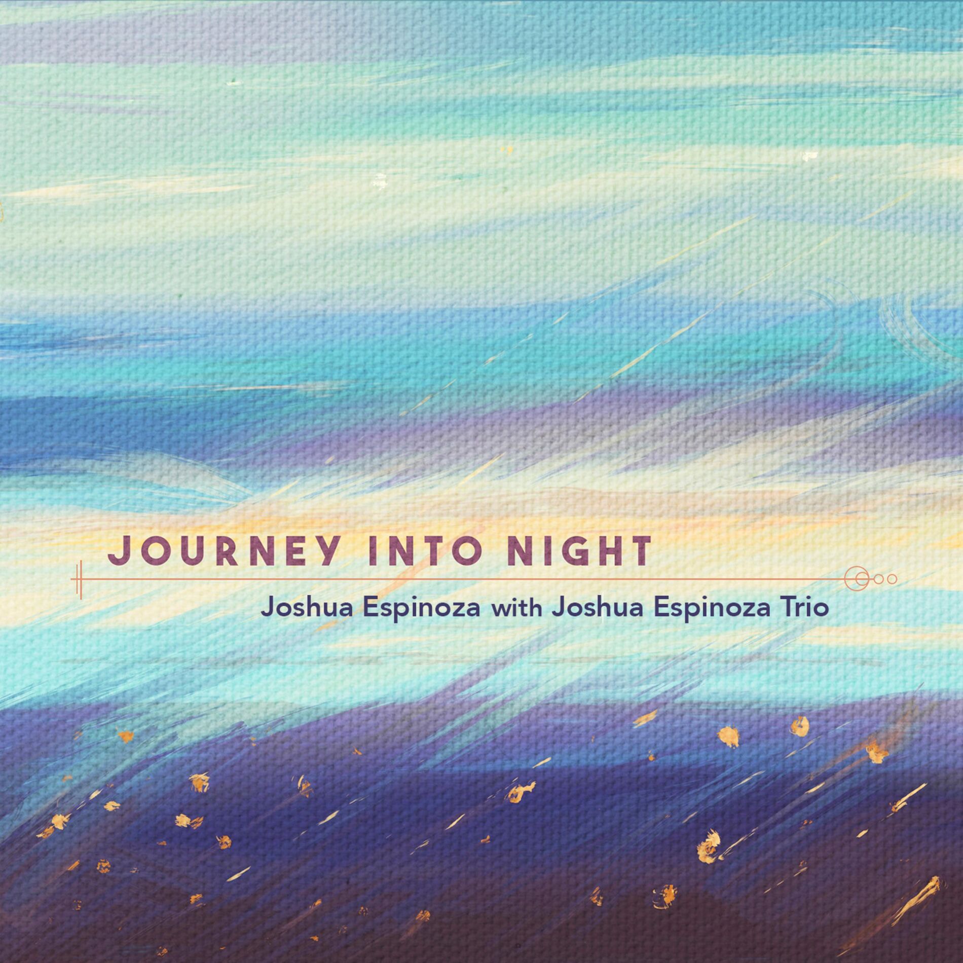 Album cover of Journey Into Night