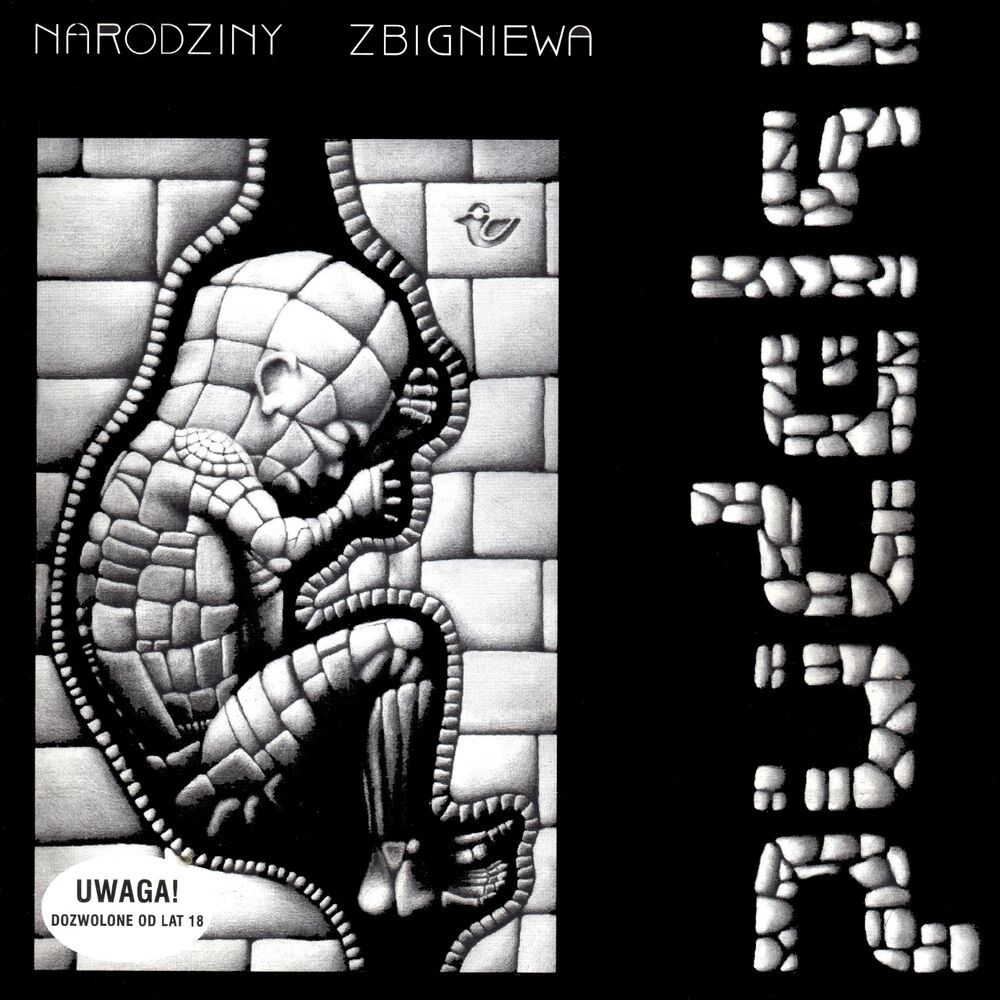 Picture of Narodziny Zbigniewa