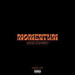 Cover of Momentum