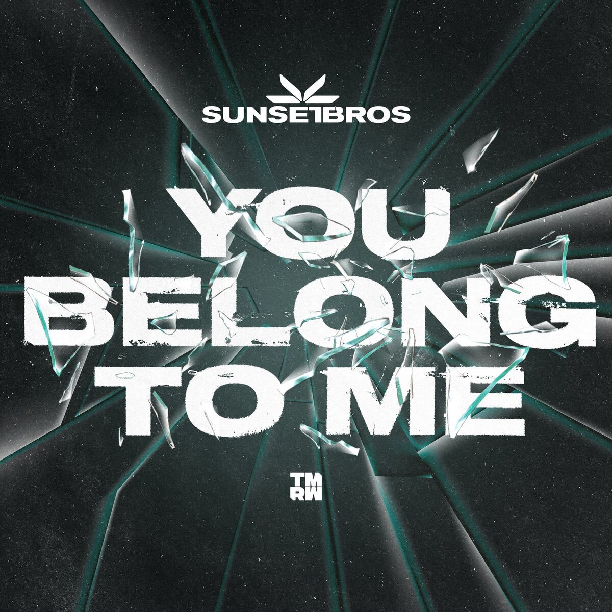 Album cover of You Belong To Me