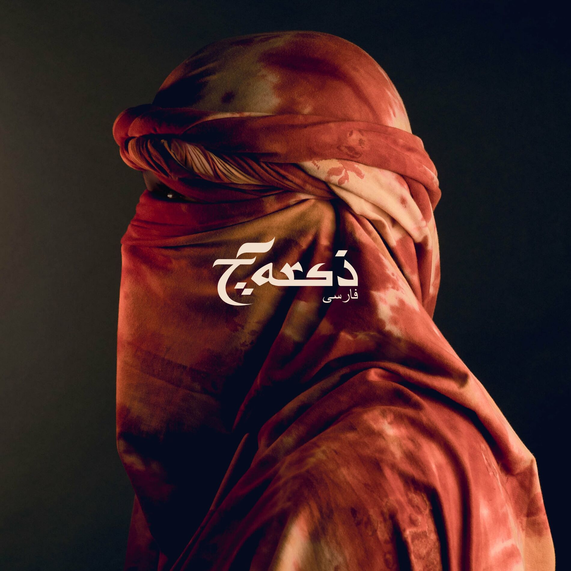 Album cover of FRAUDE