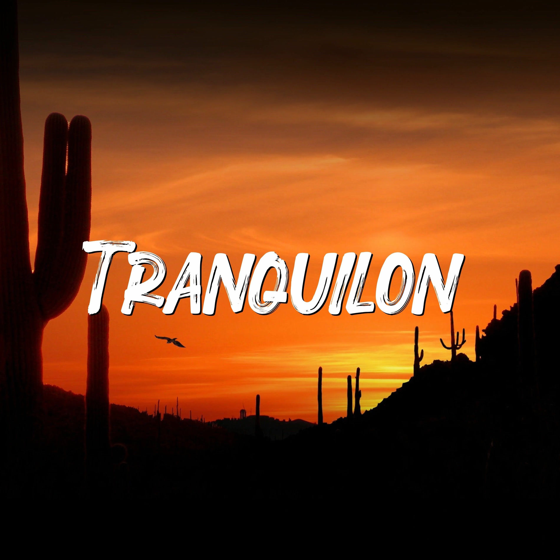 Album cover of Tranquilon
