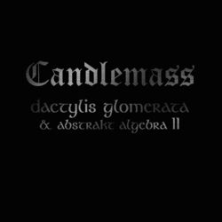 Cover of Dactylis Glomerate & Abstrakt Algebra II