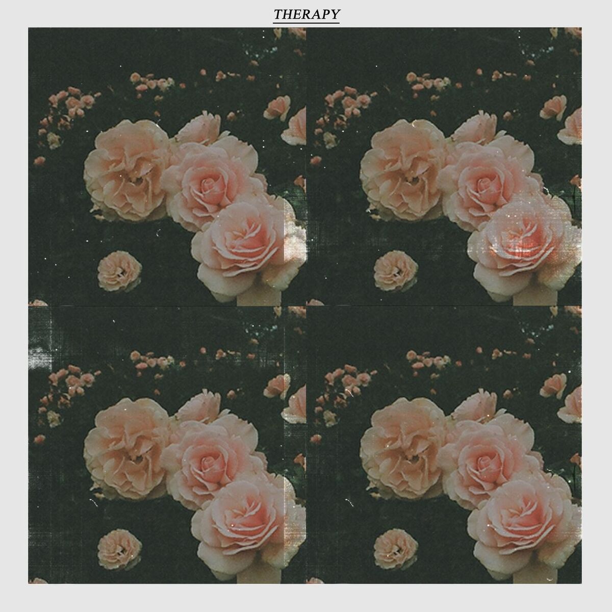 Album cover of Therapy