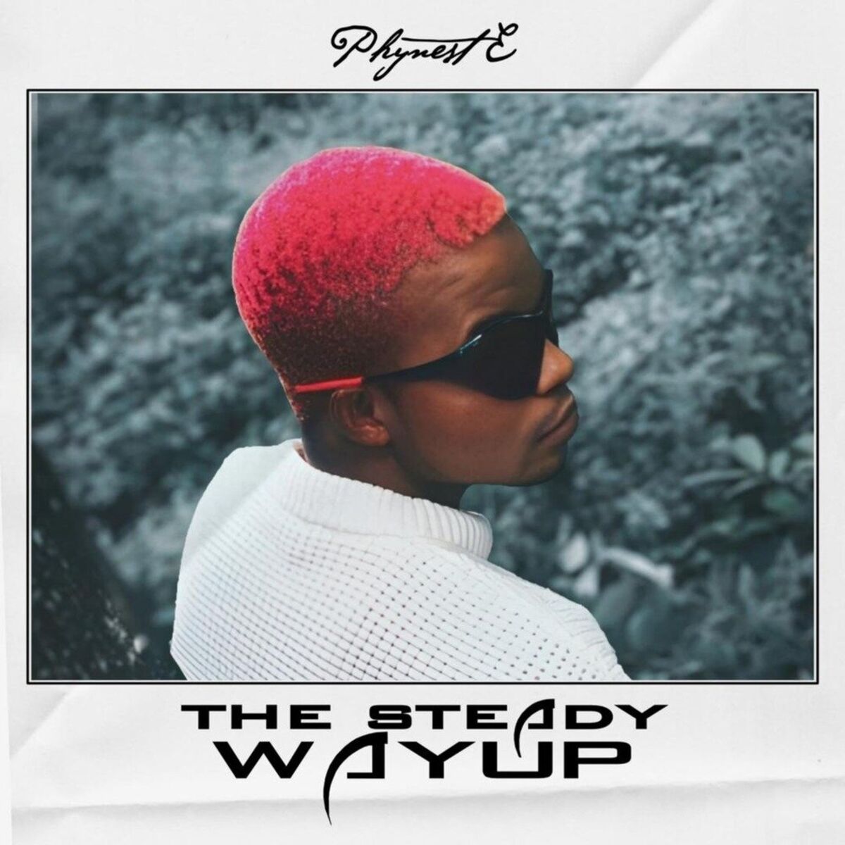 Album cover of The Steady Way Up