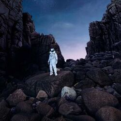 Cover of Gravity