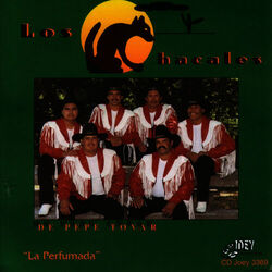 Cover of La Perfumada