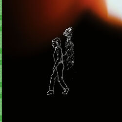 Cover of Fever