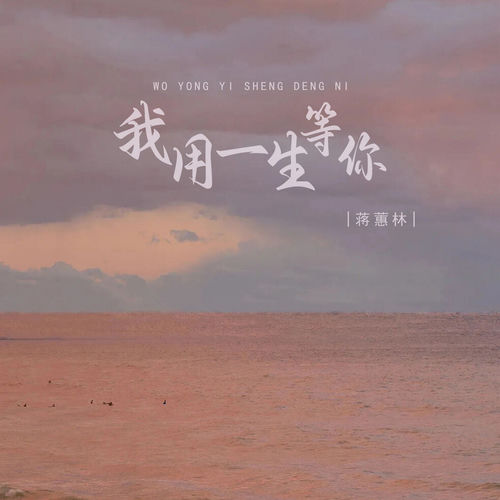 我用一生等你