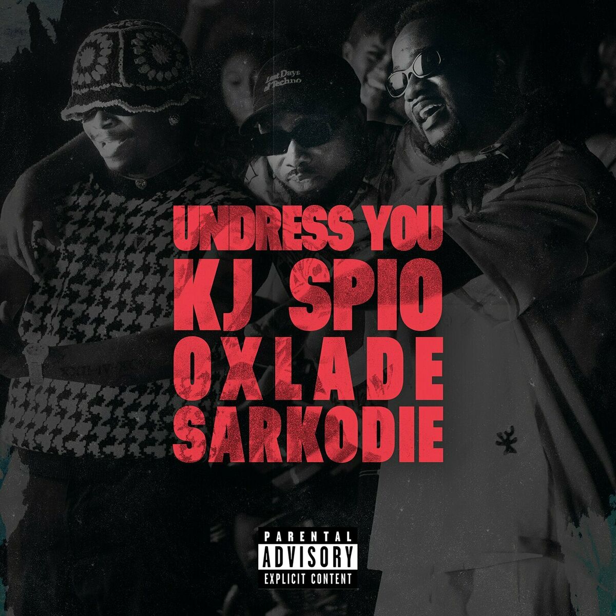 Album cover of Undress You