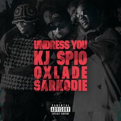 Cover of Undress You