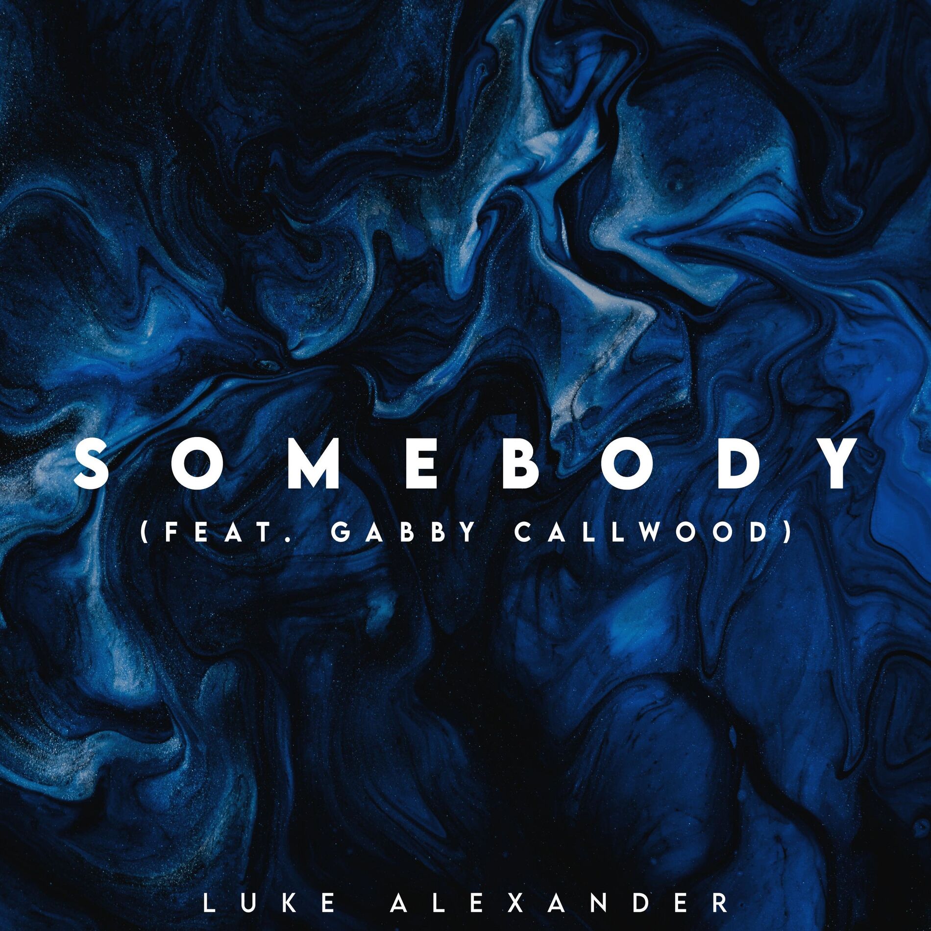 Album cover of Somebody (feat. Gabby Callwood)