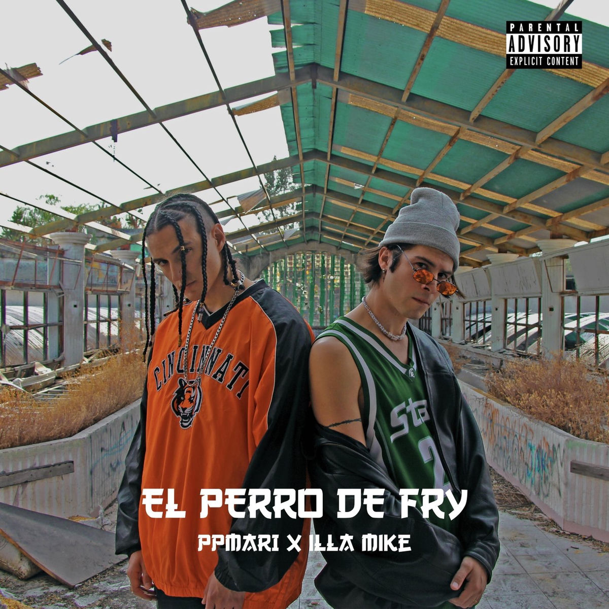 Album cover of El Perro de Fry