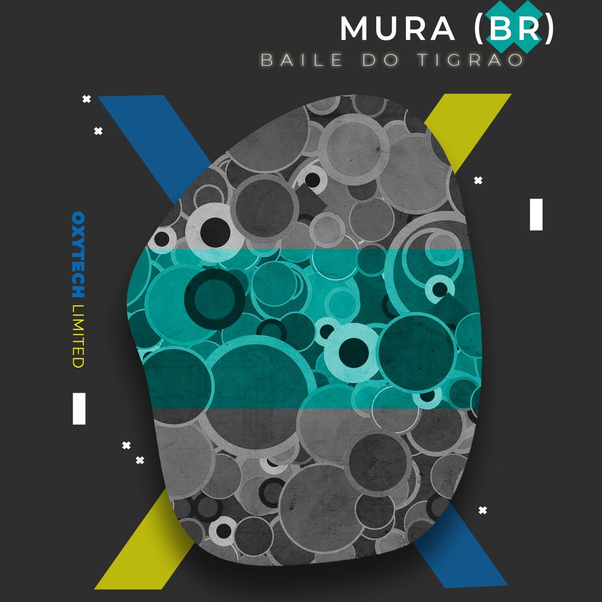 Album cover of Baile Do Tigrao