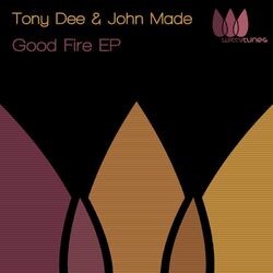 Cover of Good Fire EP