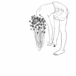 Cover of Frreakout