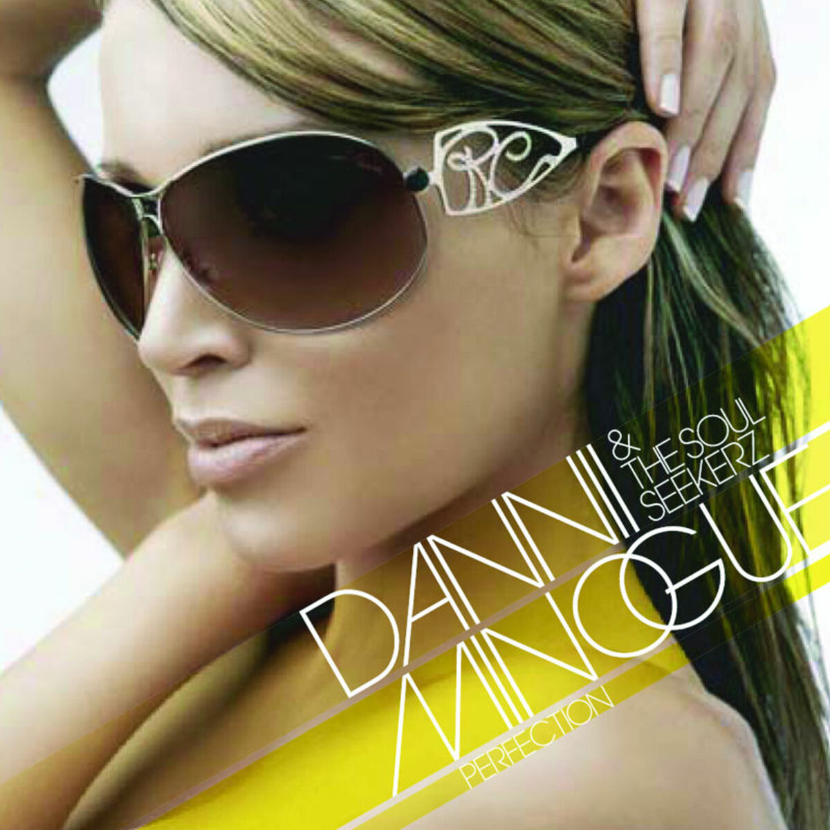 Album cover of Perfection