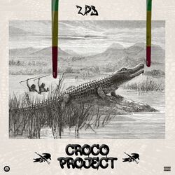 Cover of CROCO PROJECT