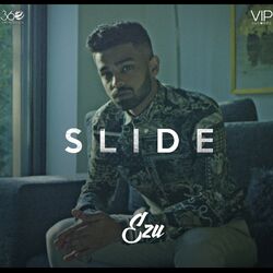 Cover of Slide