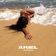 Ariel