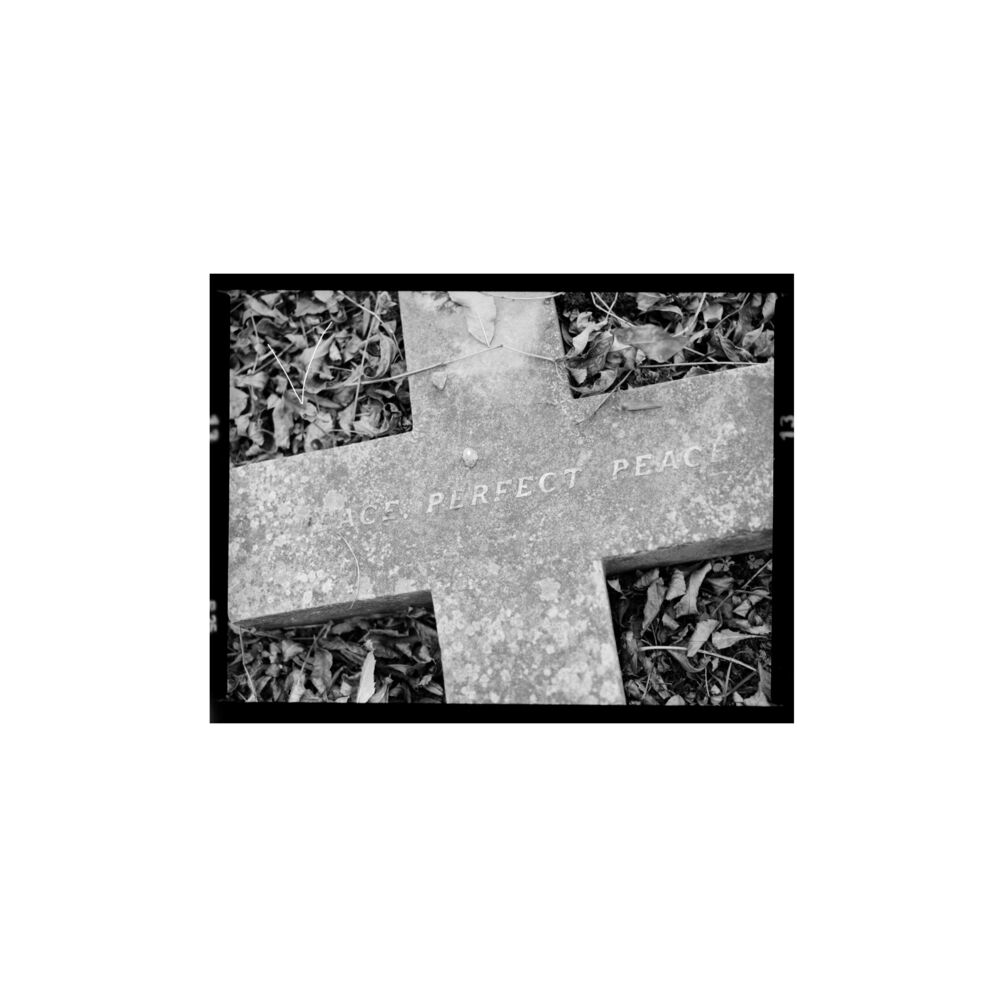 Picture of Perfect Peace (LP)