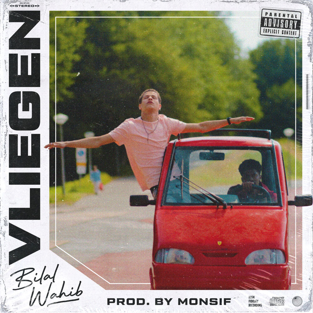 Picture of Vliegen