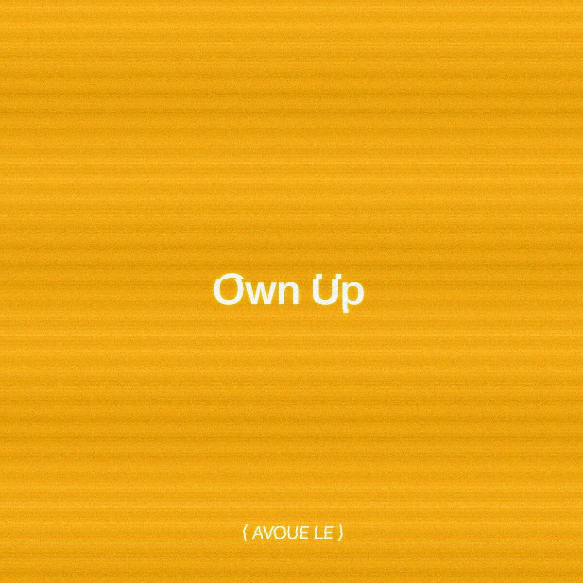 Album cover of Own Up