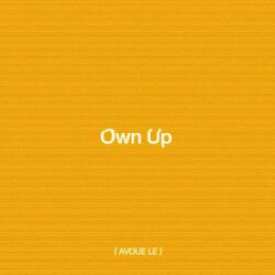 Cover of Own Up