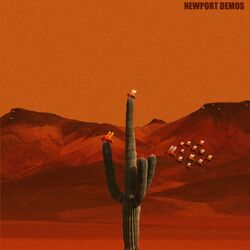 Cover of NEWPORT DEMOS