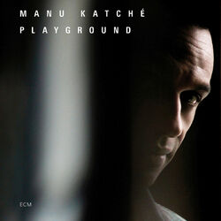 Cover of Playground