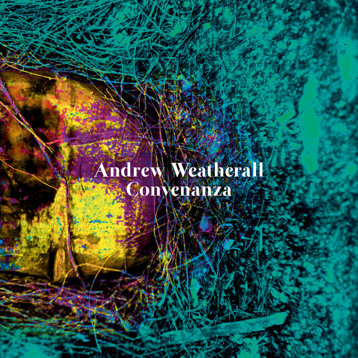 Andrew Weatherall CD 9枚セット 洋楽 Andrew Weatherall: альбомы, песни, концерты | Deezer
