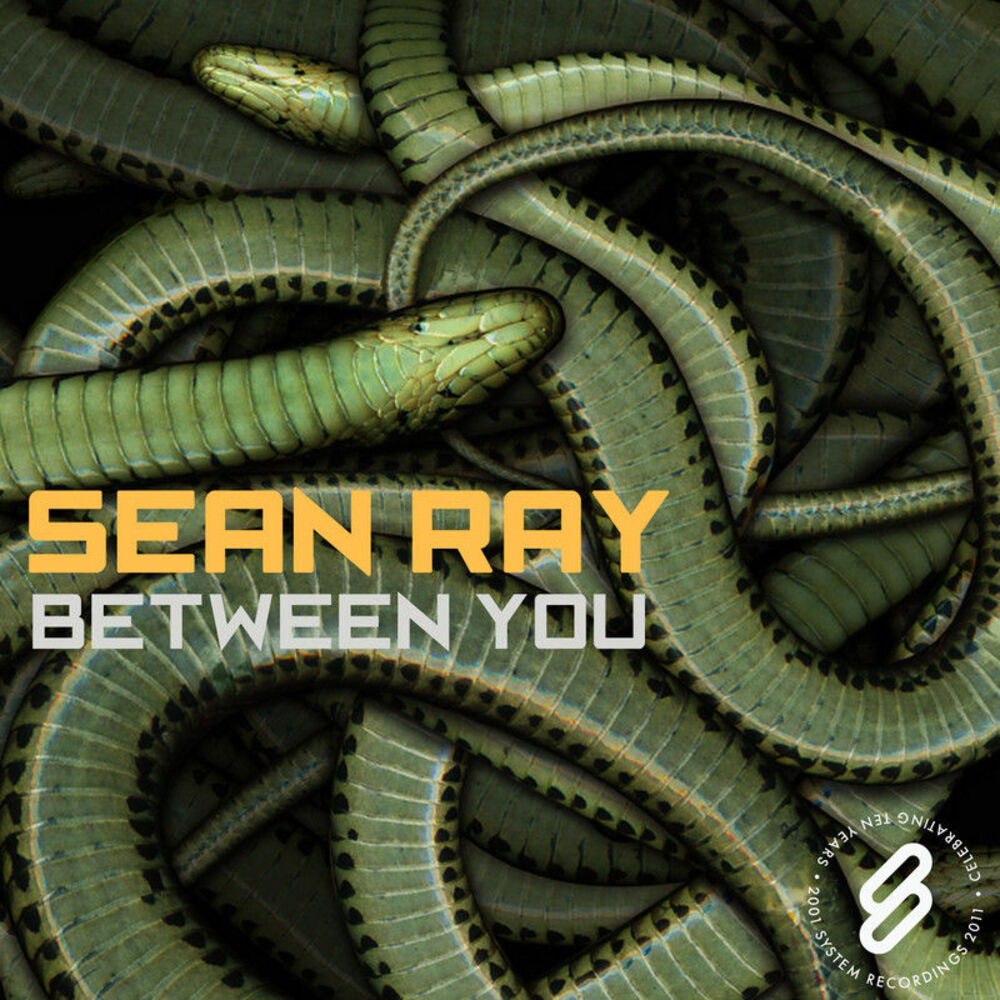 Picture of Between You