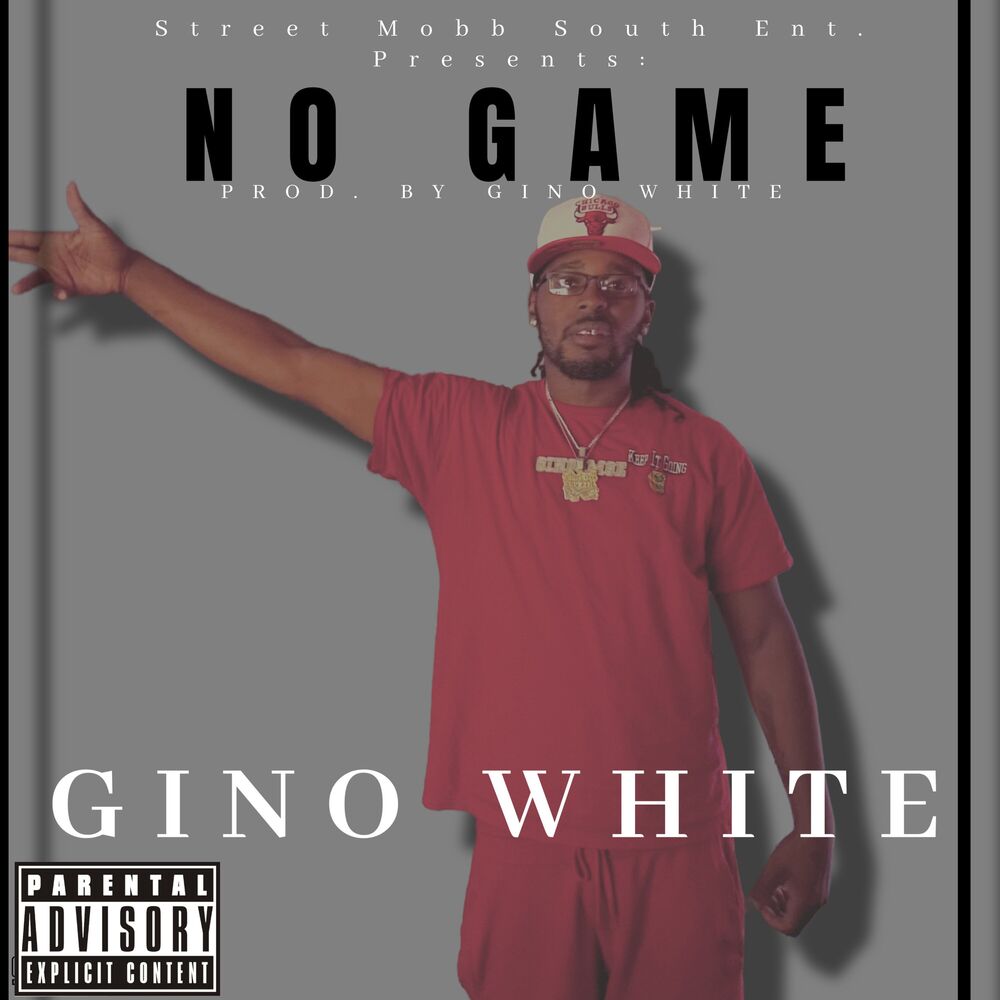 Picture of No Game