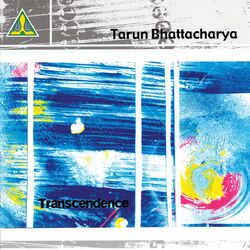 Cover of Transcendence
