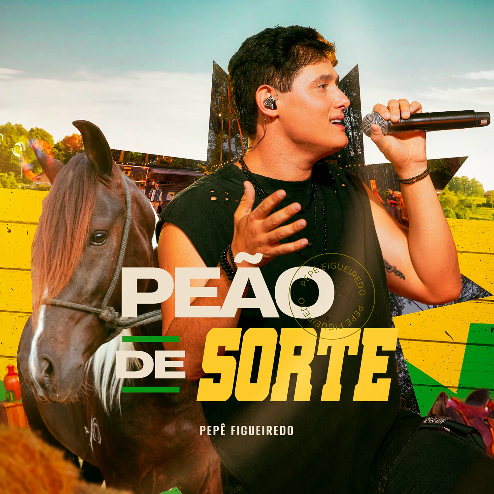 Album cover of Peão de Sorte